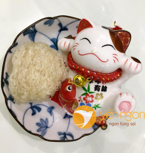 Cách làm tổ yến sào