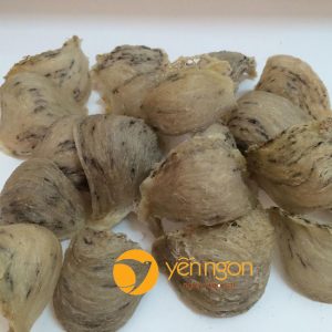 Yến đảo tự nhiên giá sỉ tốt nhất