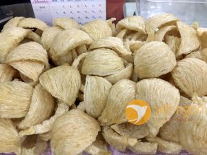 Mua yến sào ở đâu chất lượng