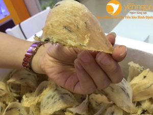 Người ung thư có ăn được yến sào không