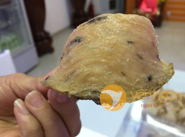 Tổ yến sào dùng cho người ung thư được không