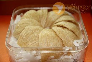 Yến rút lông nguyên tổ