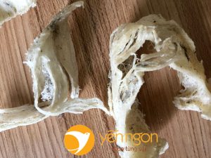 Yến vụn tinh chế là gfi