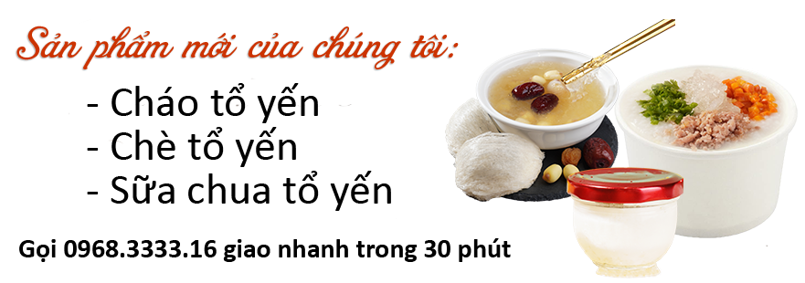CƠ SỞ SẢN XUẤT YẾN SÀO VỚI CÔNG NGHỆ HIỆN ĐẠI